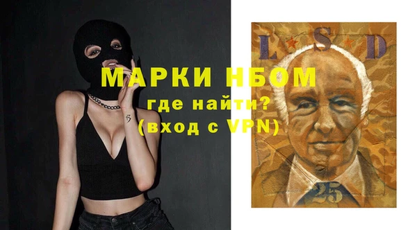индика Алзамай