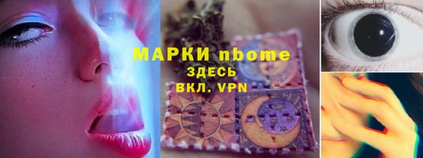 индика Алзамай
