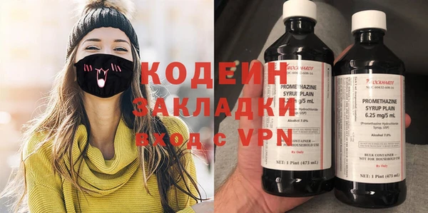 индика Алзамай