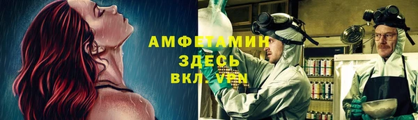 индика Алзамай