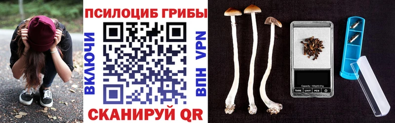 omg как войти  Собинка  Псилоцибиновые грибы мицелий  купить наркотик 